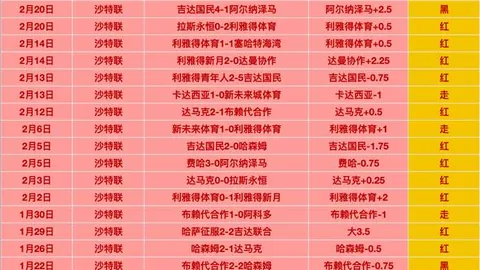 [澳网]维基奇晋级女单16强之旅